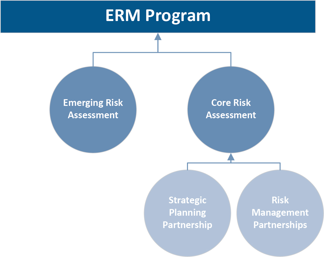 Risk Assessment Process.jpg